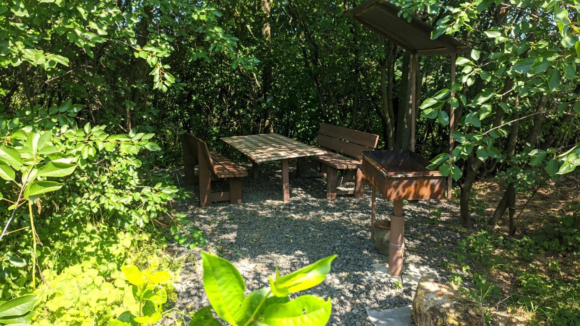 Villa Barbecue House Winnyzja Exterior foto